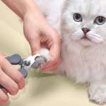 Pet nail clipper Profile Picture