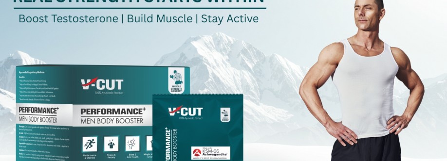 Vcut India Cover Image