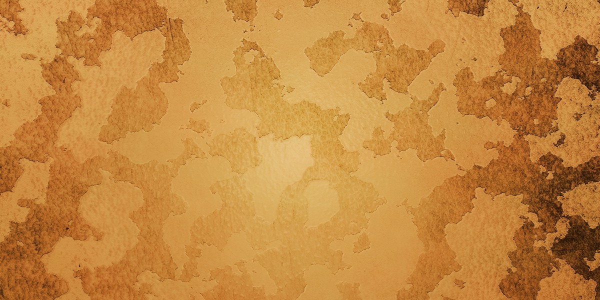 Revolutionizing Private Jet Booking: The Way Forward For Luxury Travel