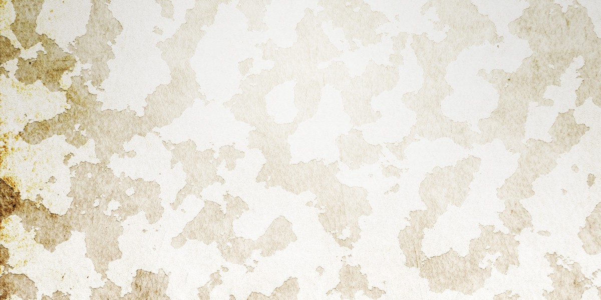 Emergency Loans No Credit Check: A Lifeline For Financial Emergencies