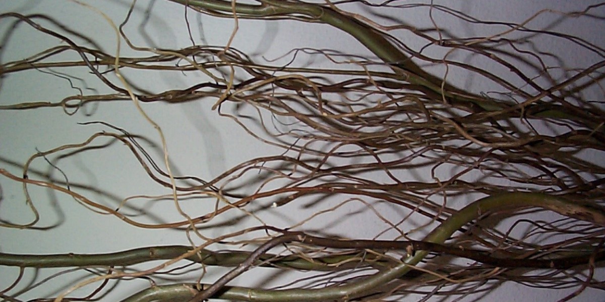 Best Online Real Money Casinos In Australia 2025