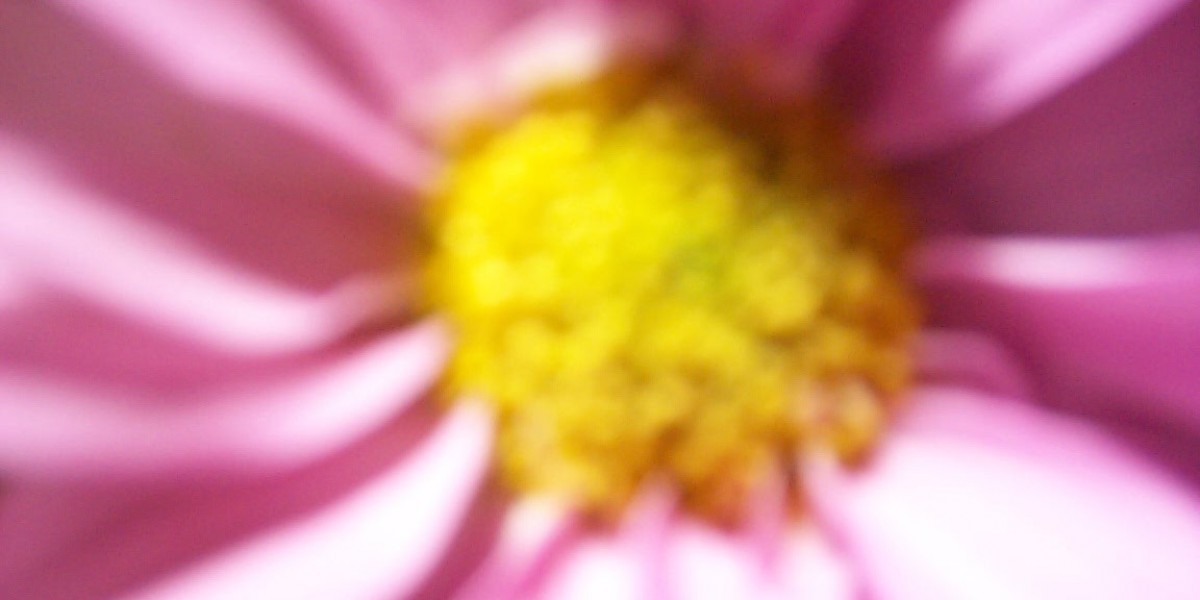 Play & Win Big Today!