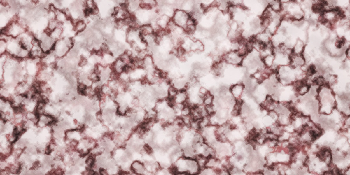 Revolutionizing Air Journey: The Rise Of Private Jet Empty Leg Flights