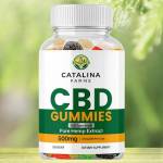 Koiltakaa Profile Picture