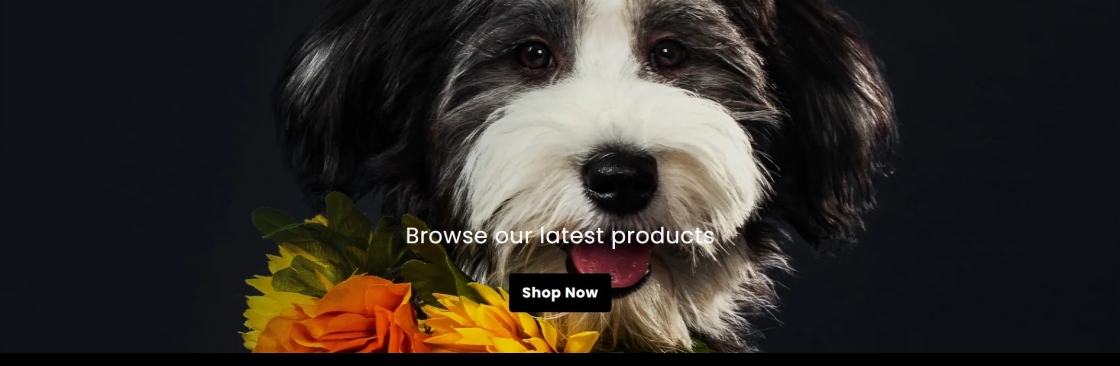 Cada Express Cover Image