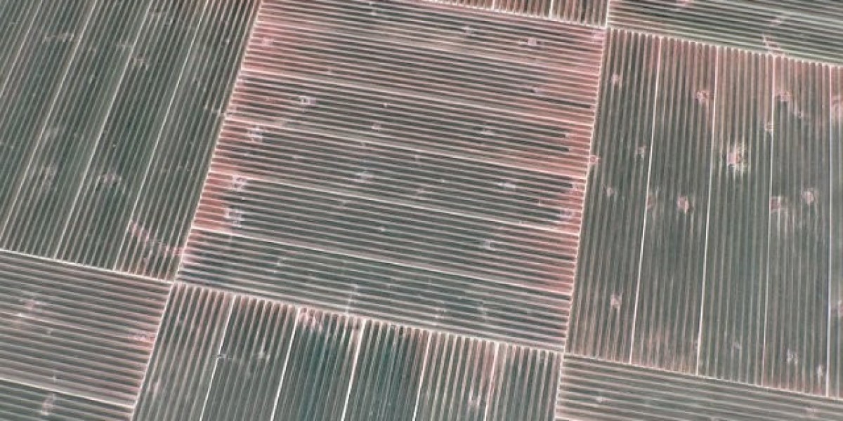 LevelUp Casino Login Australia Access Your Account or Sign Up