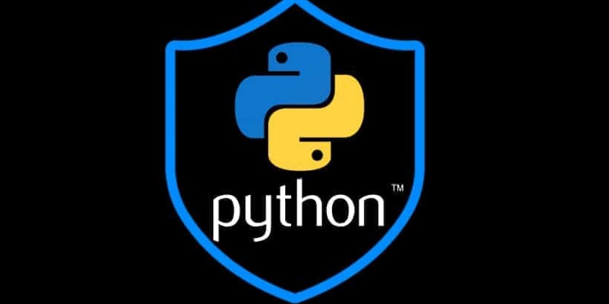 Python Course in Pune for IT Professionals