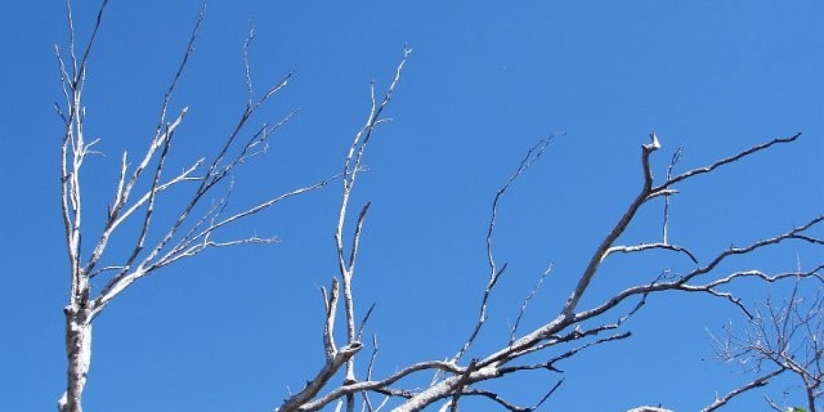 FairGO Casino Online Pokies FairGo Plus Find the Best-Ever Features of Fair Go at Casino Lobby Fast Casino Registration 