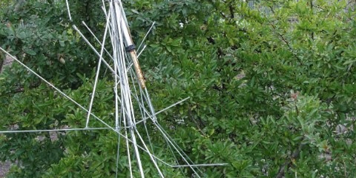 Best Real Money Online Casinos in the US 2025