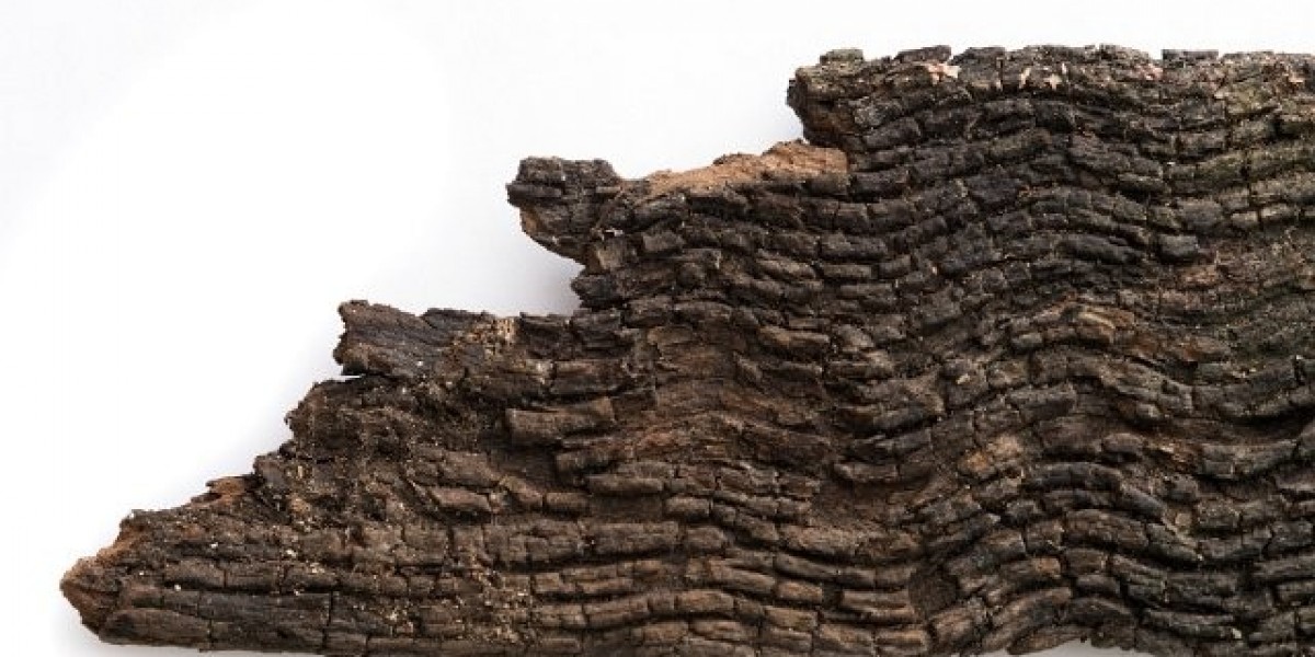 Meet the People Behind the Play