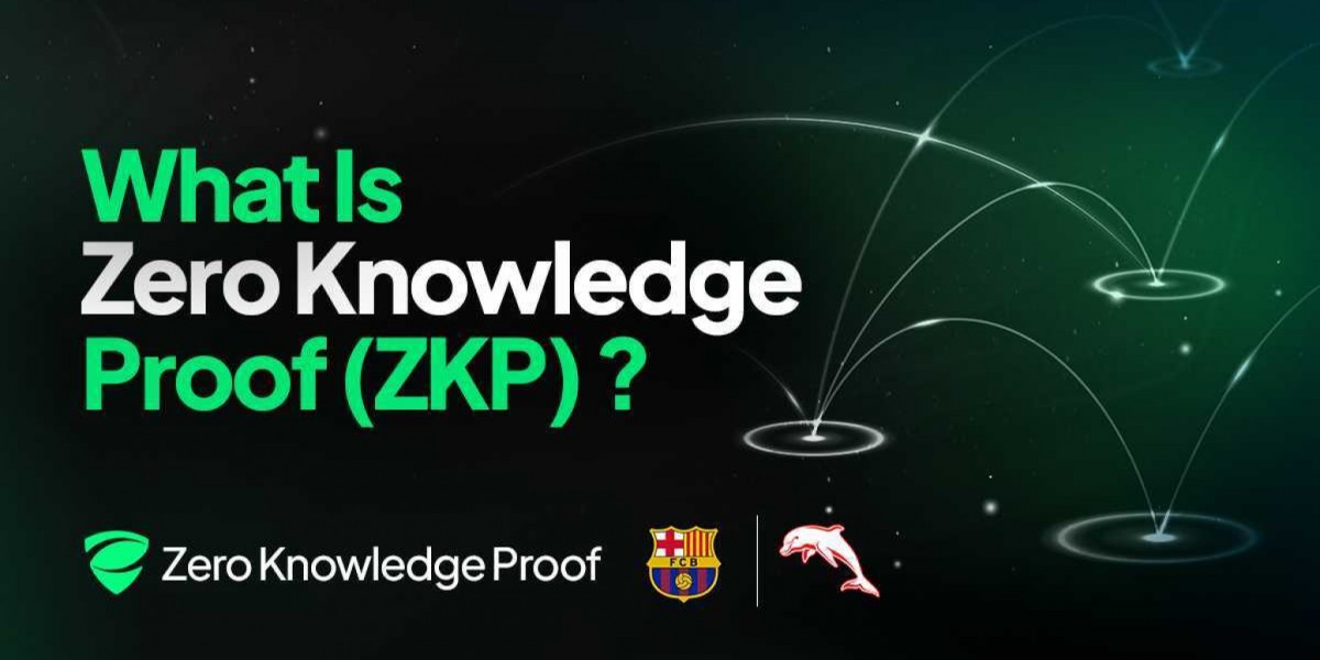 The Rise of Privacy-Driven Innovation: How ZKP Company Is Building the Future of Secure Digital Intelligence