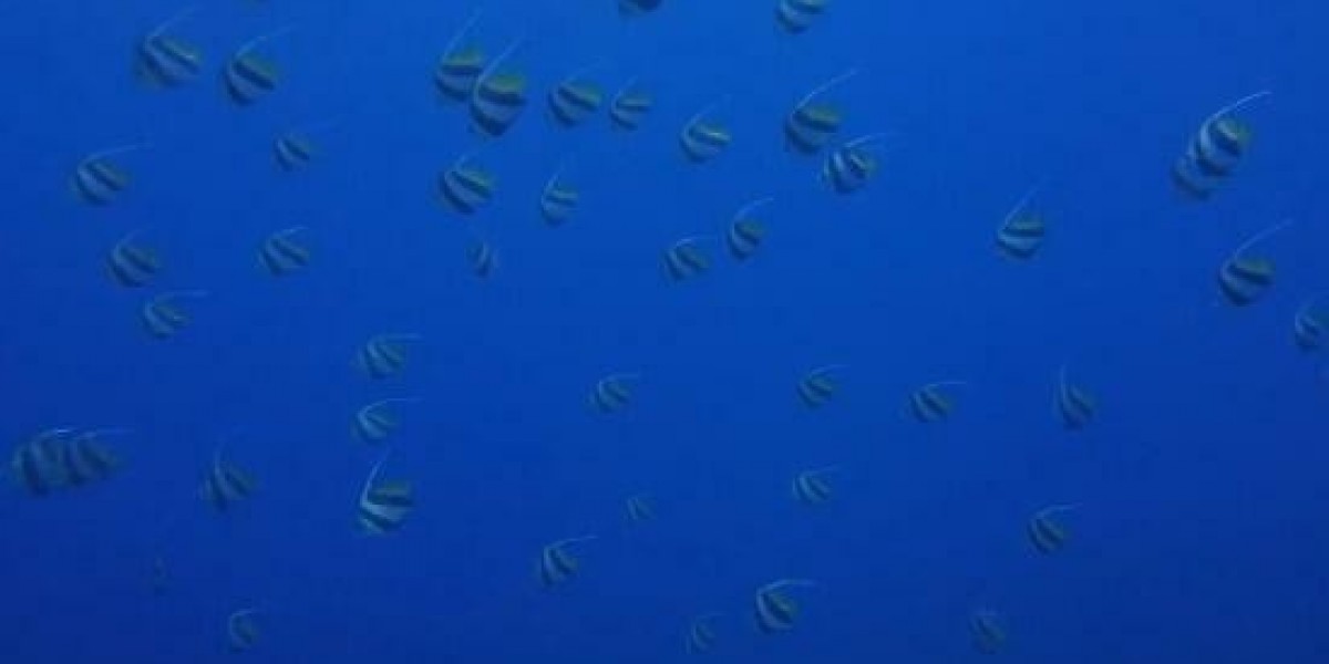 5 Best for Sale by Owner Websites In North Carolina (2025 Rankings).