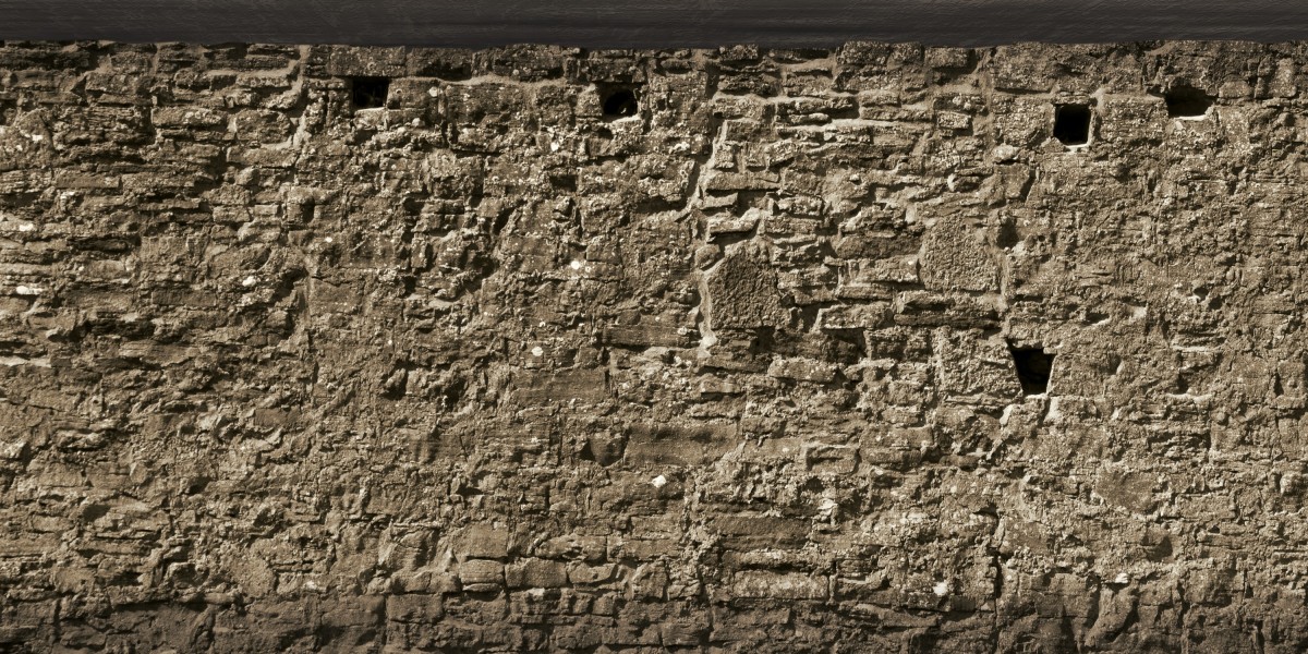 Exploring the Best Natural Treatments For Erectile Dysfunction