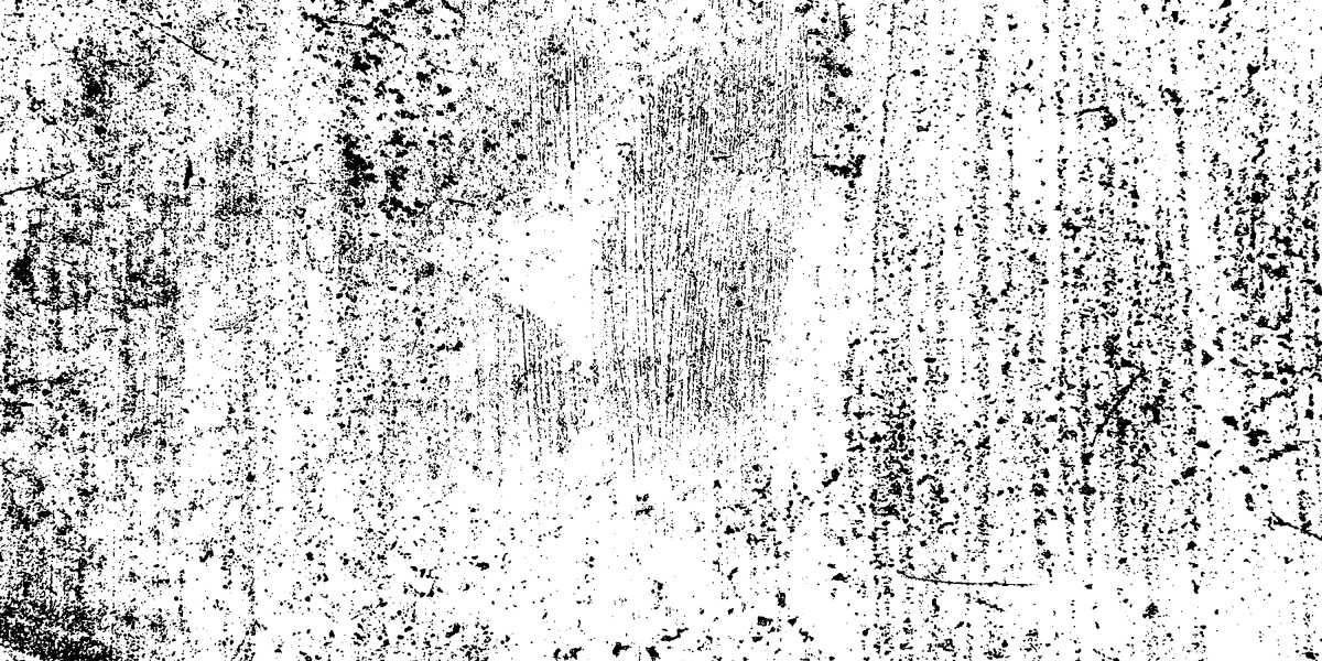 Exploring Private Jet Charter Providers: A Complete Case Study