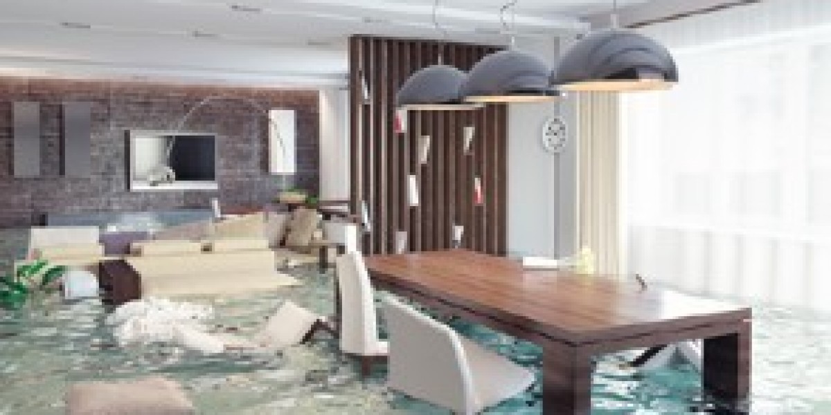 Sparkling Clean Carpet Care | Carpet, Tile & Water Damage Toledo Ohio