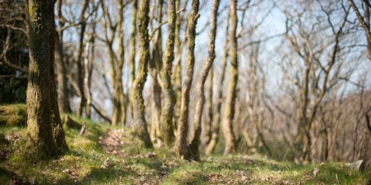 Online Gambling with Fast Payouts and Safe Play