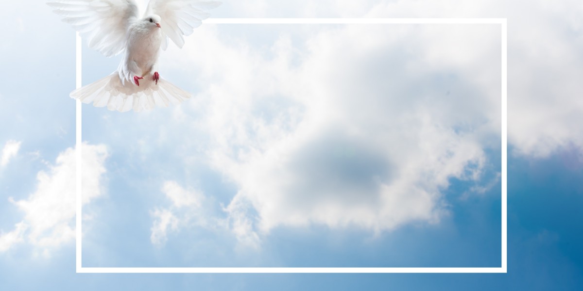 The Sky's the Restrict: Understanding the Prices Of Private Jet Ownership