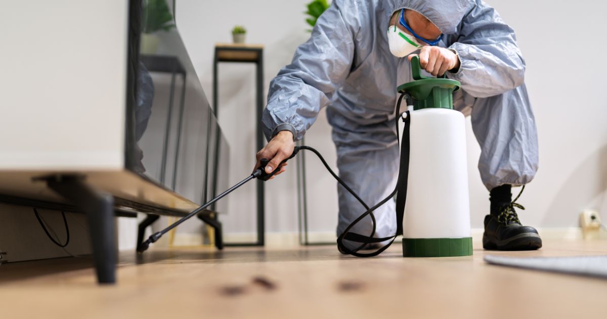 Protect Your Home from Unwanted Pests with Expert Solutions in Burnside Heights - Enhance Your Websites