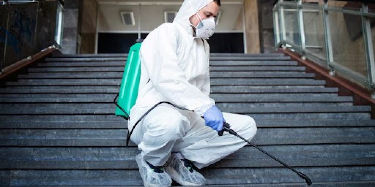 Protect Your Family & Home with Expert Pest Control in Naperville