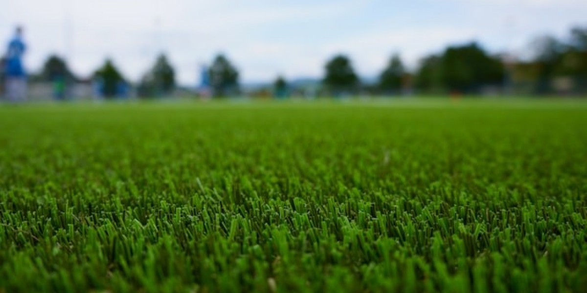 Long-Lasting Pet Turf for Active Dogs