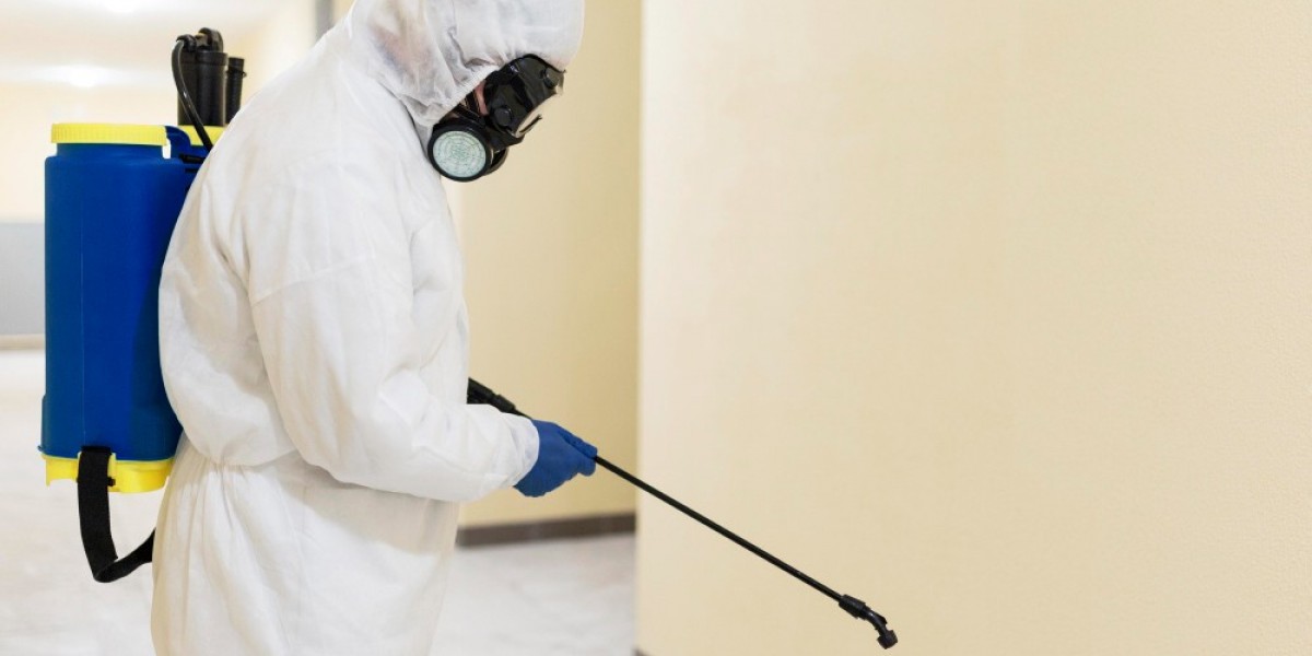 Effective Ant Control in Gold Coast: What Homeowners Need to Know