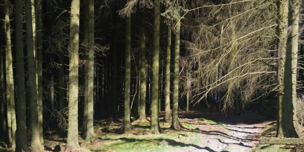 Ensuring Brisbane casino doesn't become an 'eyesore' should be a priority amid Star's financial woes