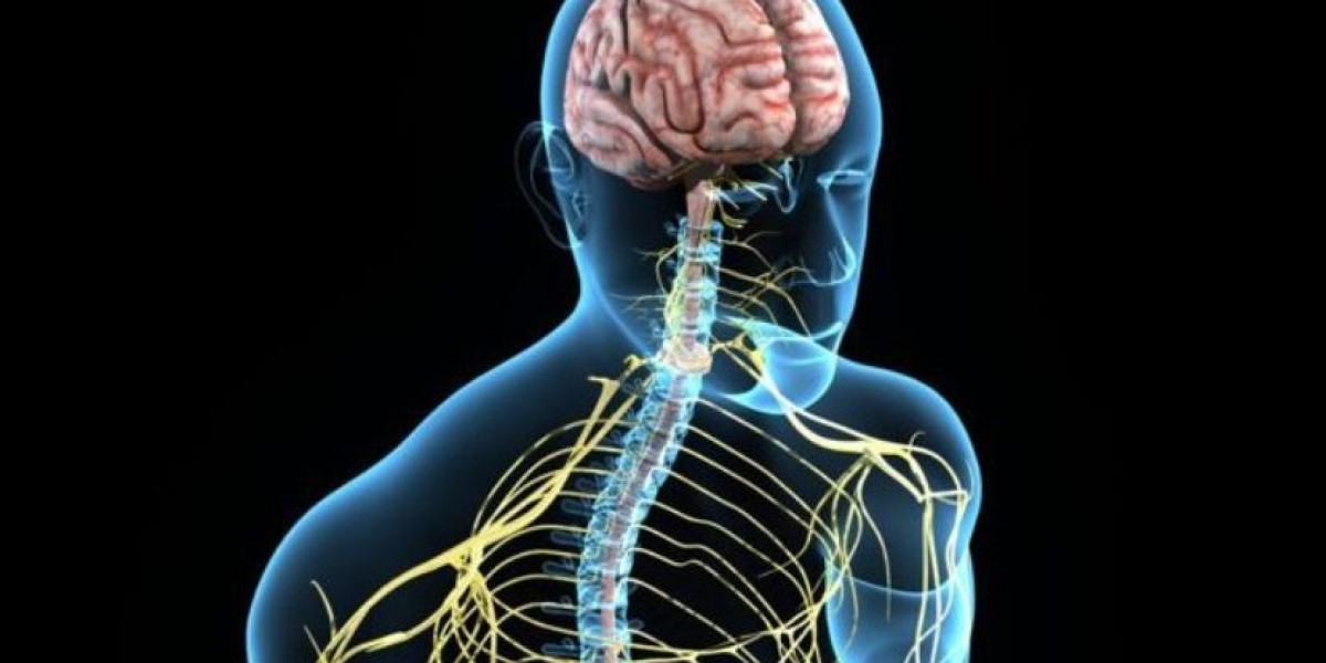 Understanding the Amyotrophic Lateral Sclerosis Market: Innovations Driving Hope in Neurodegenerative Care