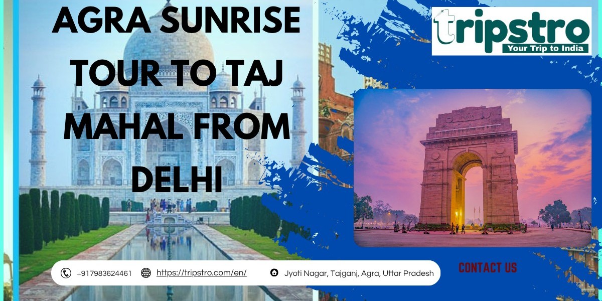 Delhi to Agra Sunrise Taj Mahal Tour