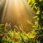 claramark profile picture