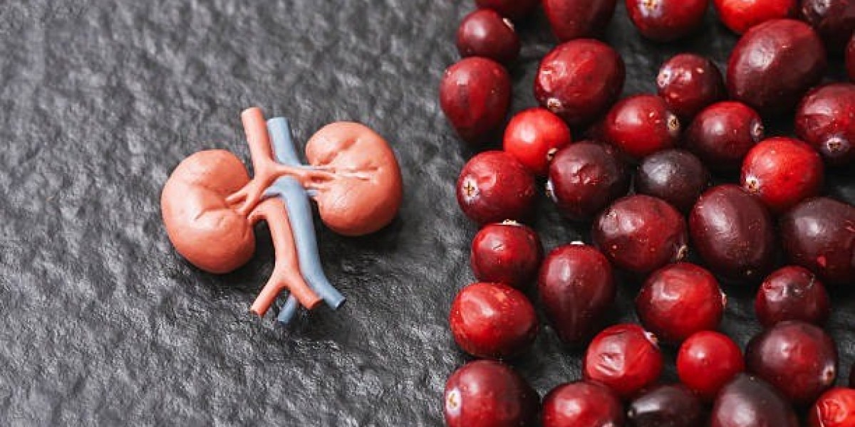 Achieving Full-Body Harmony with the Best Supplements for Inflammation