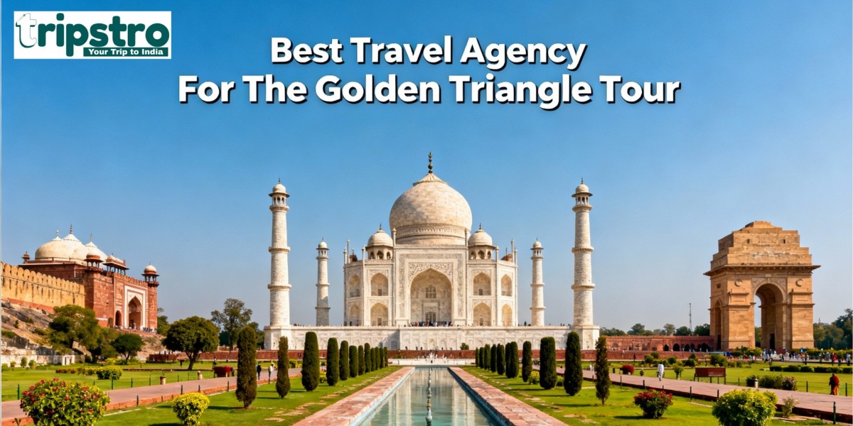 Experience the Best Travel Agency for a Perfect Golden Triangle Journey