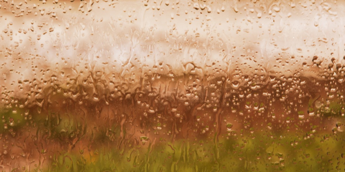 Understanding Real Payday Loans with No Credit Checks