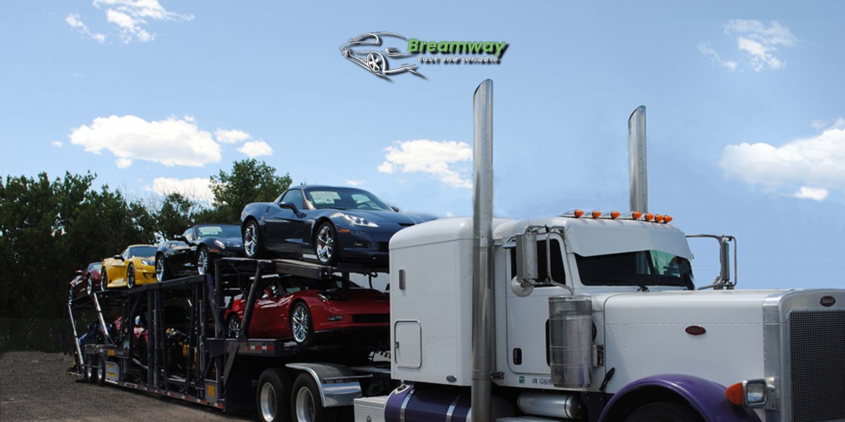 Top 5 Reasons Snowbirds Prefer Door-to-Door Auto Shipping for Their Florida Trips