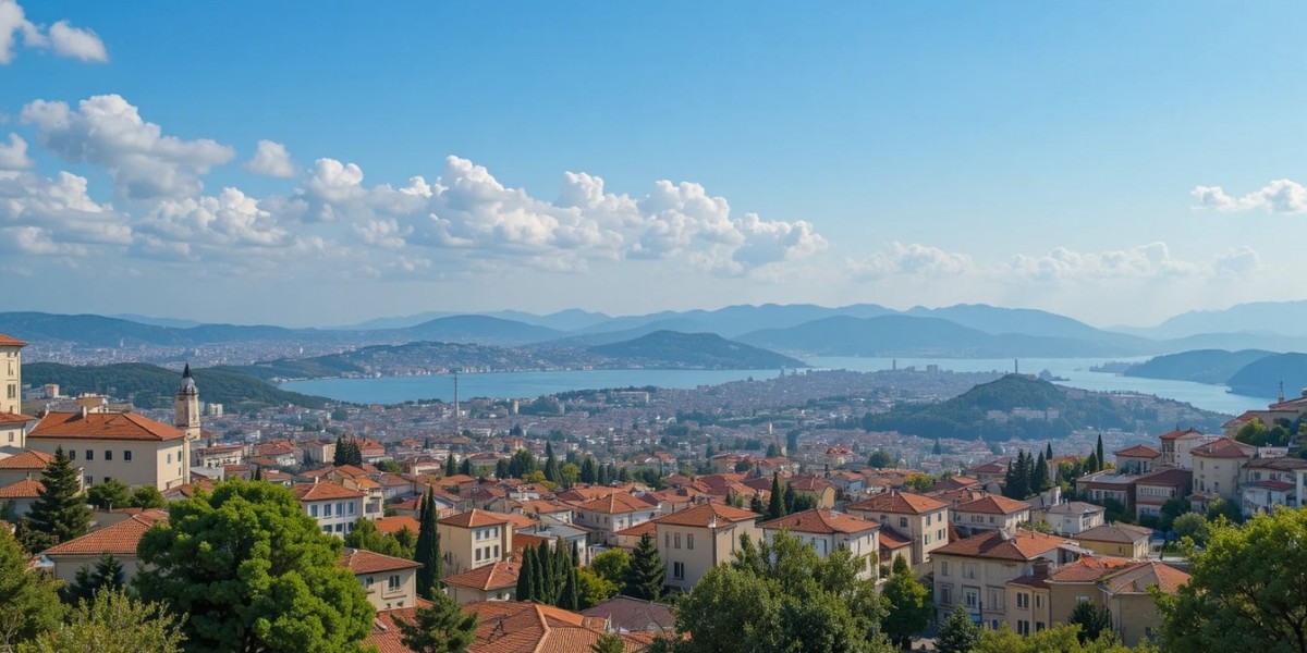 Rent a car with driver in turkey