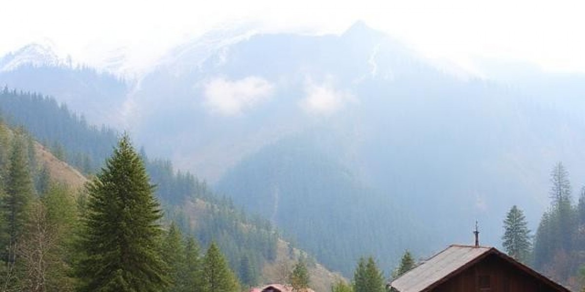 Himachal Pradesh Times: The Best Travel & Tourism Blog for Himalayan Journeys