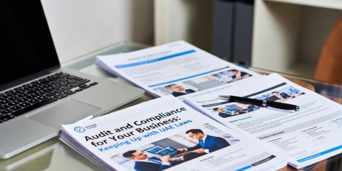 Audit and compliance for your business   - keeping up with UAE laws