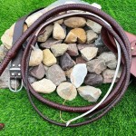 Indiana Jones whip Profile Picture