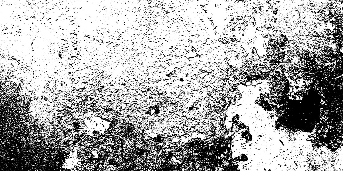 Exploring Quick Loans with No Credit Check: A Case Study