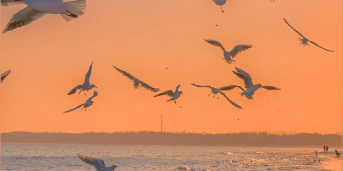 u4gm how to run Vaal Temple for divines guide