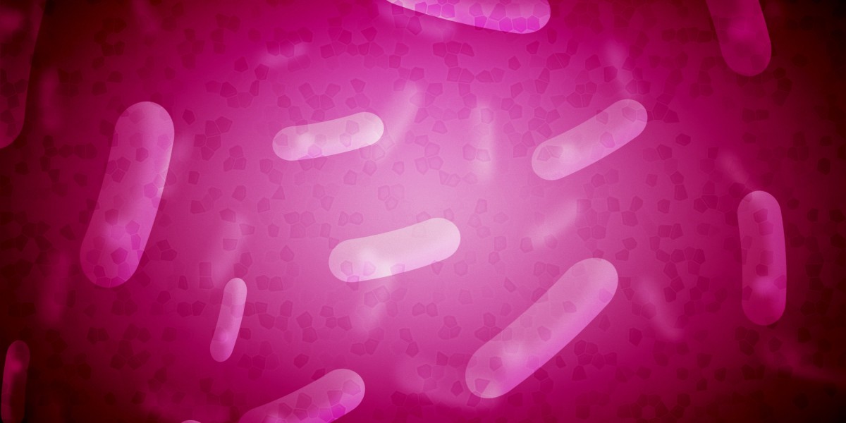 Erectile Dysfunction Treatment: Exploring the Perfect Choices