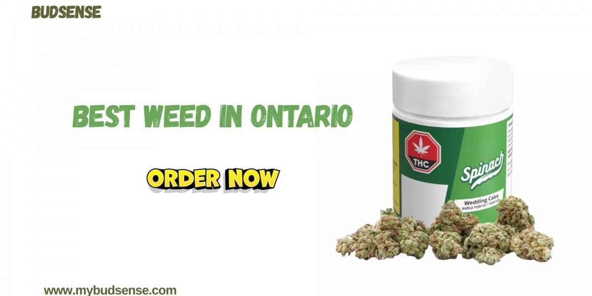 Best Weed in Ontario: A Trusted Guide to Quality Cannabis Choices