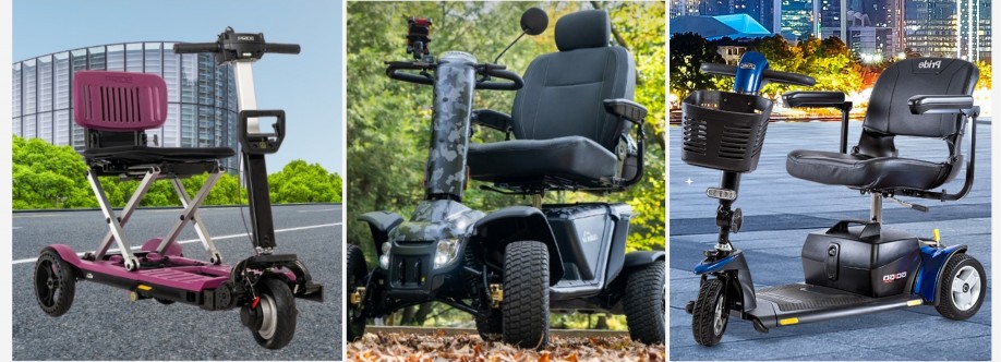 Pristine mobility Cover Image