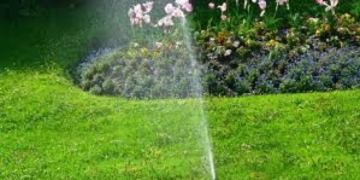 Common Lawn Irrigation Problems and How to Fix Them