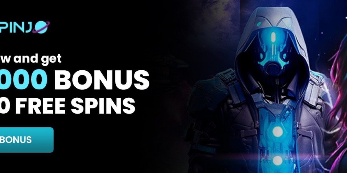 Spinjo Journeys Through the Winter Digital Landscape