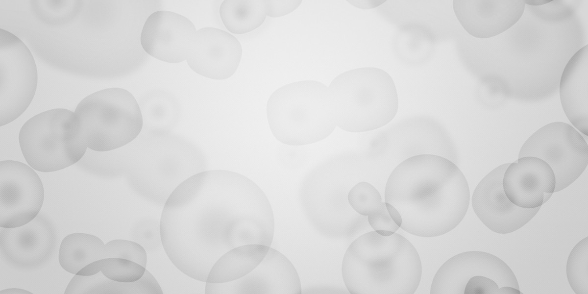 Innovative Solutions for Payday Loans Without Credit History: A New Era of Financial Accessibility