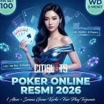 spin spin Profile Picture