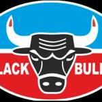 Black Bulls Profile Picture