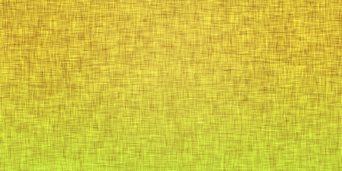 Online Loans for People with No Credit: A Comprehensive Case Study