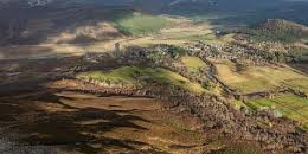 Baron of Braemar: Nobility, Tradition, and Lasting Prestige