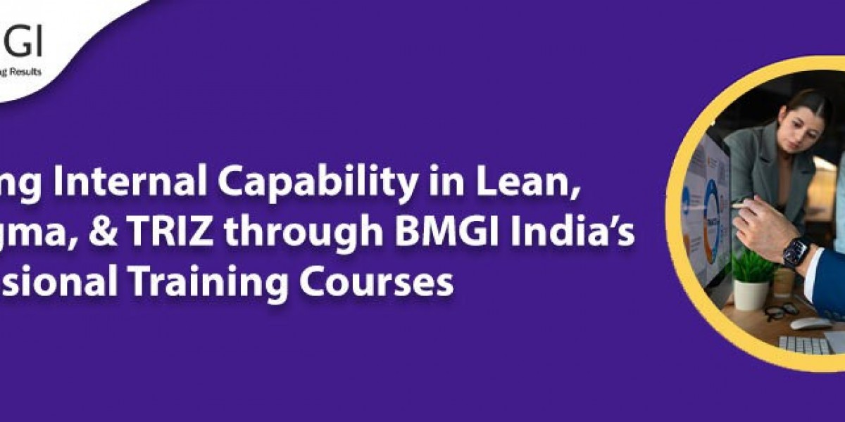 Building Internal Capability in Lean, Six Sigma, and TRIZ through BMGI India’s Professional Training Courses